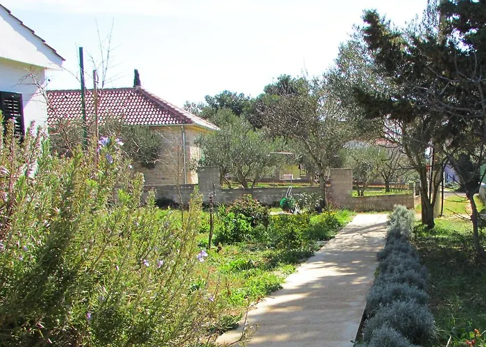 Dom wakacyjny Pancho *