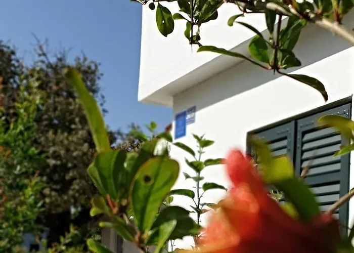 Pancho * Sukošan